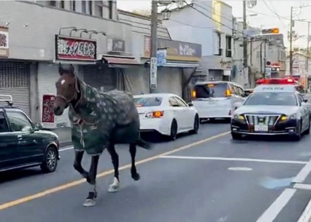 Japan Strategy - Cheers and Fears for 2026